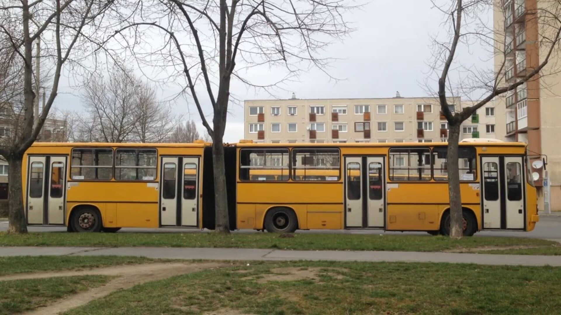 busz