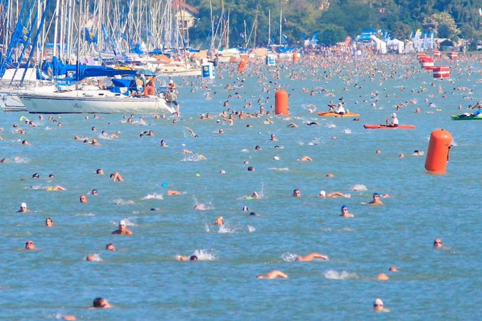 Balaton átúszás