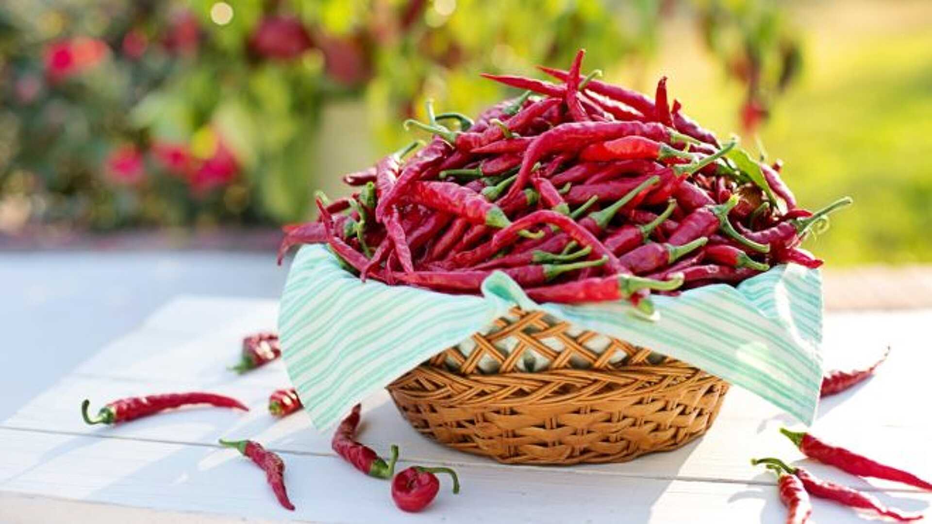 fűszerpaprika