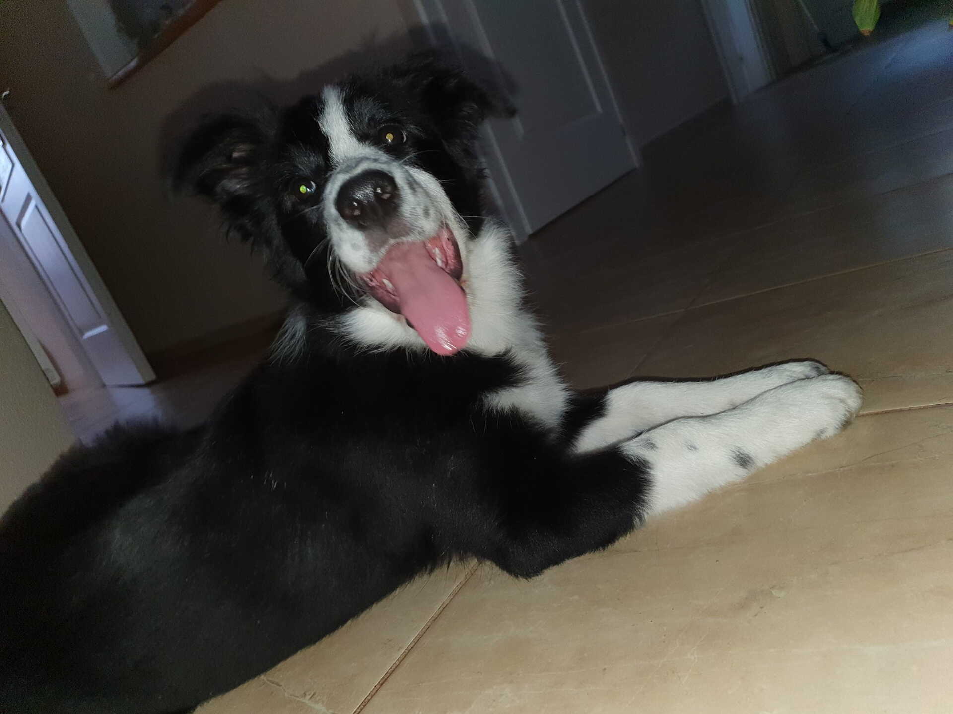 Daisy megkerült